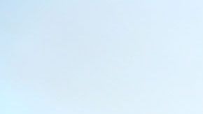 Trump ha sido en fuerte defensor de la venta y uso de armas