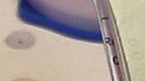 Las visas vencidas pueden ser de viajero o permisos estudiantiles o de trabajo.