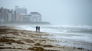 Dorian puede repetir en Florida los destrozos de Irma en 2017.
