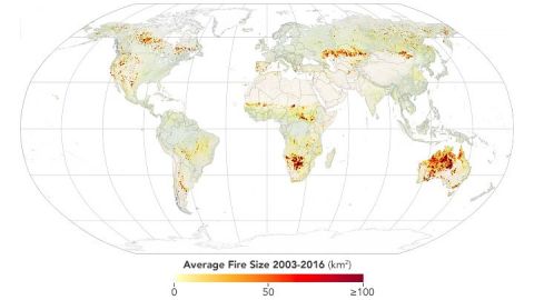 El mapa muestra 13.3 millones de incendios captados por satélites de NASA entre 2003 y 2016.