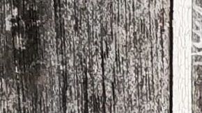 gregor-moser-QGIJUqnEpCY-unsplash