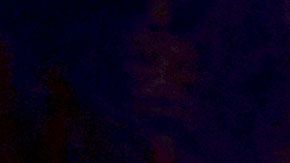 Los químicos de estos guantes podrían representar un mayor peligro para las mujeres embarazadas y los niños.