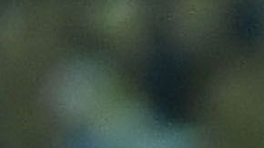 En el video, que fue difundido en Internet, aparece Braulio Ramírez completamente desnudo y frente a la cámara