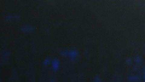 Es cuestión de tiempo que veamos la tercera edición del duelo "Canelo" vs. Glolovkin.