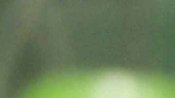 José Juan Macías destacó en el cuadro de honor con un doblete ante Chivas.