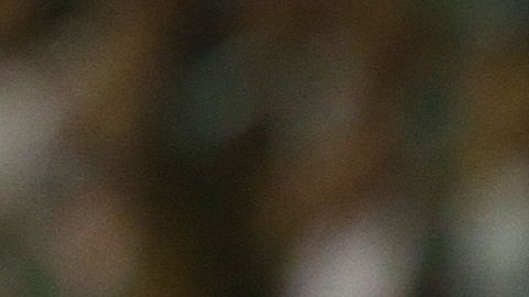 Francisco Córdova para ser el más indicado para tomar la responsabilidad de suplir a Mateus.