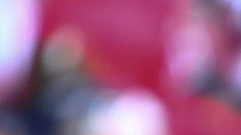 El ‘Bigotón’ respira, por fin gana Toluca
