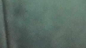 Según la MTA, el servicio está siendo un éxito desde el primer día.