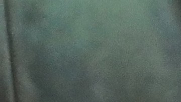 Según la MTA, el servicio está siendo un éxito desde el primer día.