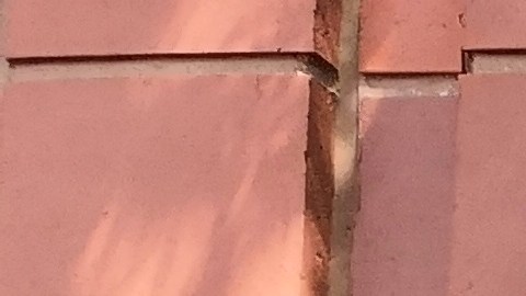 La pareja de tenistas colombianos ganaron recientemente Wimbledon.