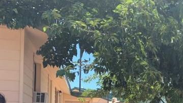 Las tres grupos de inmigrantes llegaron en una semana a Tucson (Arizona).