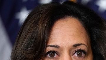 Harris criticó la estrategia de la administración Trump y de DHS.