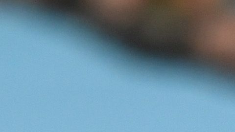 Jurgen Klopp y Pep Guardiola son los Directores Técnicos más espectaculares y ganadores del momento.