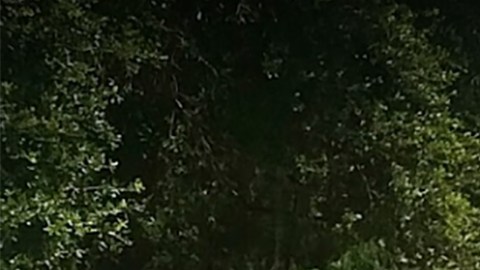 Lakeland High School en Florida.