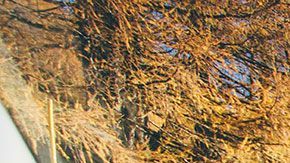 Durante los próximos meses se lanzarán los primeros 10 coches sin conductor humano.