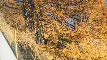 Durante los próximos meses se lanzarán los primeros 10 coches sin conductor humano.