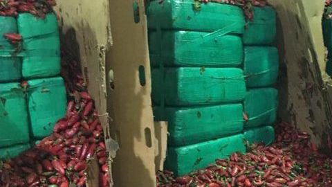 Pacas de marihuana camufladas.