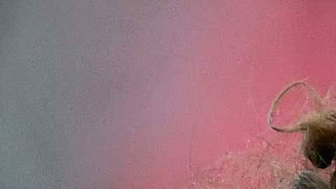 Guillermo Ochoa está a un paso de volver con el equipo que lo vio nacer.