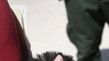 El Gobierno ya había presentado la propuesta en el Registro Federal.