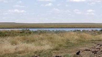 Aves heridas y muertas por tormenta de granizo.