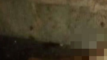 Narcos matan a pedradas a mujer en México