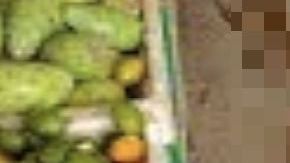 Narcotraficantes no respetan ni a los abuelitos, así les quitaron la vida a dos