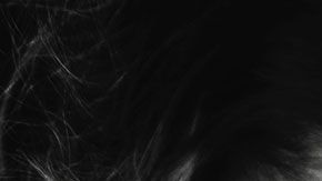 El cuerpo de la niña fue encontrado en un lote baldío con señales de abuso sexual.