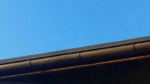 La empresa negó haber donado a la campaña del presidente Trump.