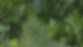 El inicio del año escolar y los tiroteos en EEUU traen miedo a las familias.