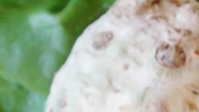 paprika-3212137_1280