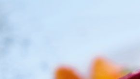 Si eres un fanático de la pasta, esta promoción podría ser de mucha utilidad.