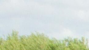 La niña fue trasladada a un hospital infantil de Corpus Christi, Texas.