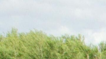 La niña fue trasladada a un hospital infantil de Corpus Christi, Texas.