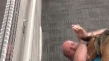 El perro en un simulacro.