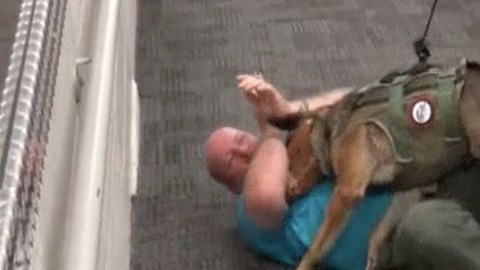 El perro en un simulacro.
