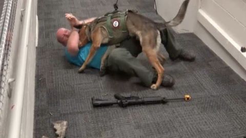 El perro en un simulacro.