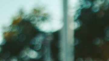 Jim Dunne muere a los 87. Él era mejor conocido por inventar la profesión de paparazzi de autos