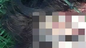 Sapos mujer Culiacán, Cártel de Sinaloa
