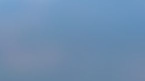 Sarah Kohan respondió a las críticas por llevar a ‘Chicharo III’ a la playa