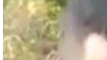 Se desconoce el paradero de los presuntos secuestradores.