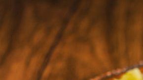 Sorprende a tus invitados este fin de semana, con esta deliciosa variante de tacos al pastor de pescado. Son simplemente deliciosos y fáciles de preparar.