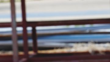 shutterstock_1225143571