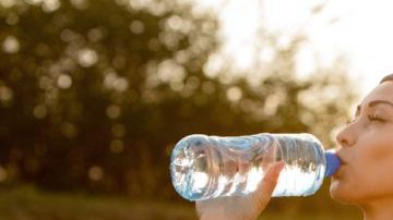 shutterstock_1377980444