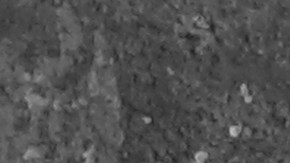 shutterstock_222545551