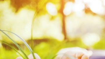 Aumentar la dosis de Vitaminas E, A y C es otro de los factores a tener en cuenta a la hora de defender el cuerpo de la oxidación.