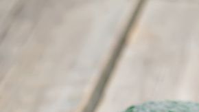 shutterstock_263066297