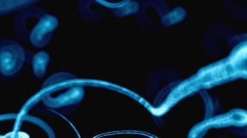 El esperma también envejece.