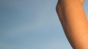 shutterstock_395783929