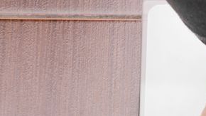 shutterstock_466783757