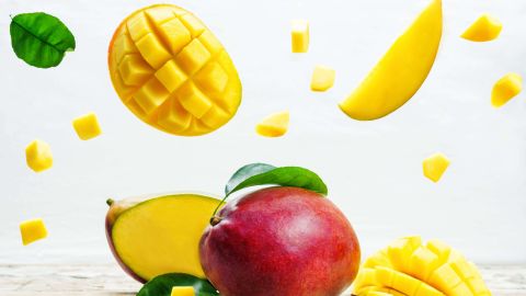 shutterstock_533307484